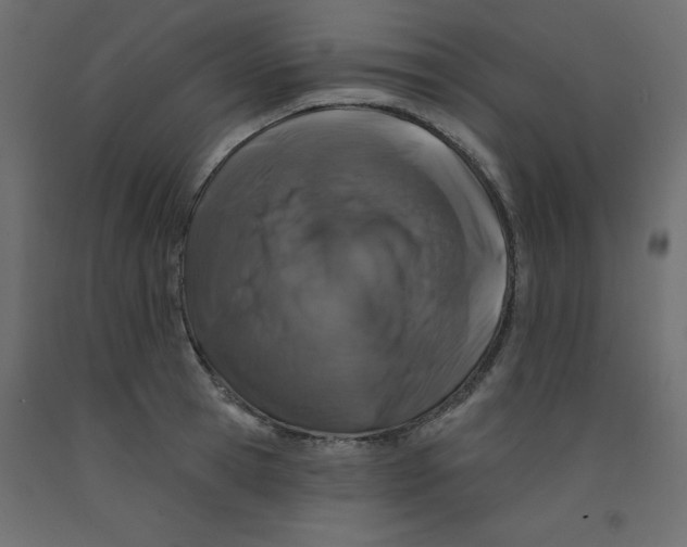 X0000092080945200710101037