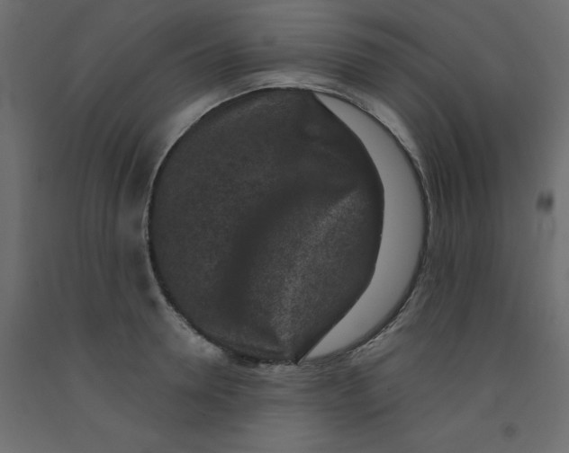 X0000092080946200710101037