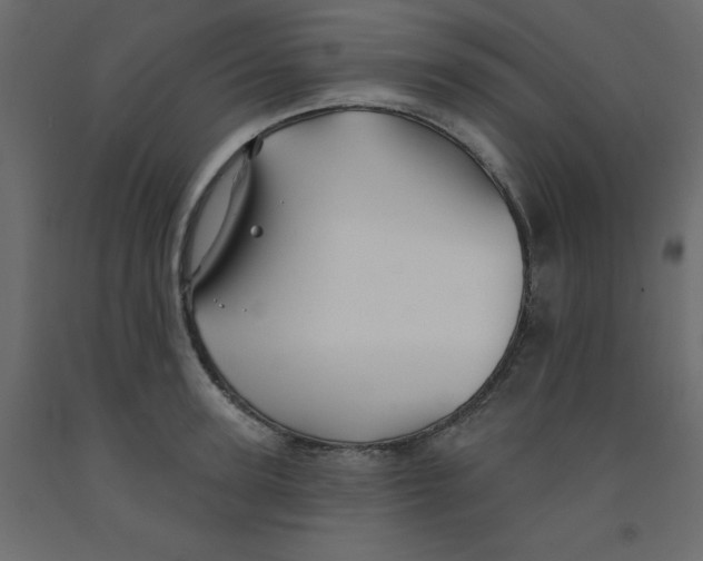 X0000092080947200710101038