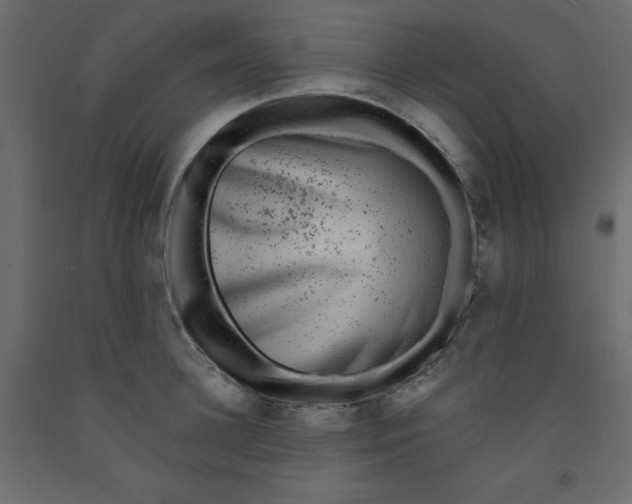 X0000092080948200710101038