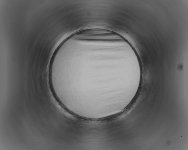 X0000092080949200710101038