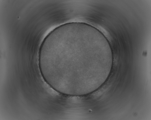 X0000092080950200710101038