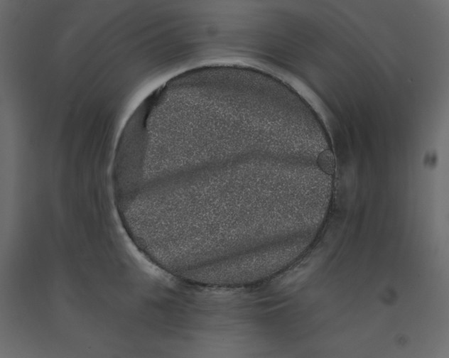 X0000092080951200710101038