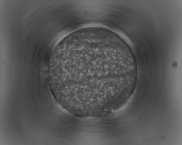 X0000092080953200710101038