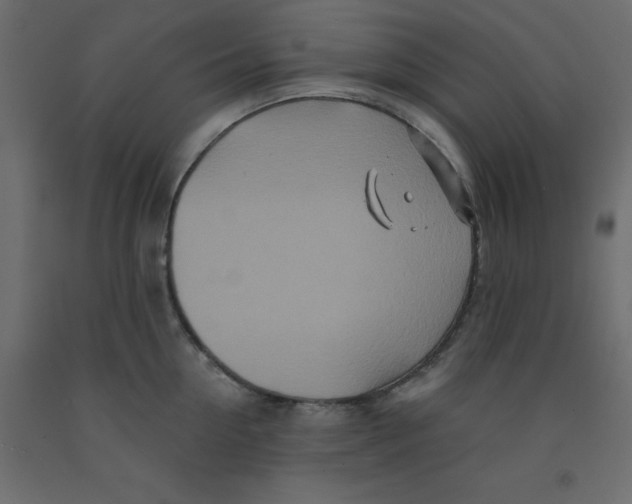 X0000092080954200710101038