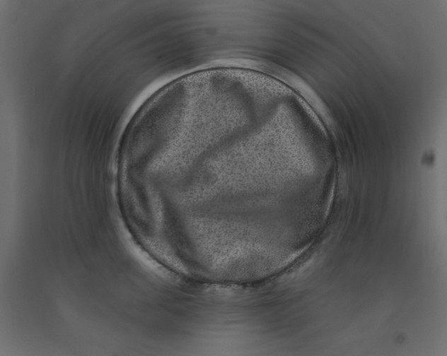 X0000092080955200710101038