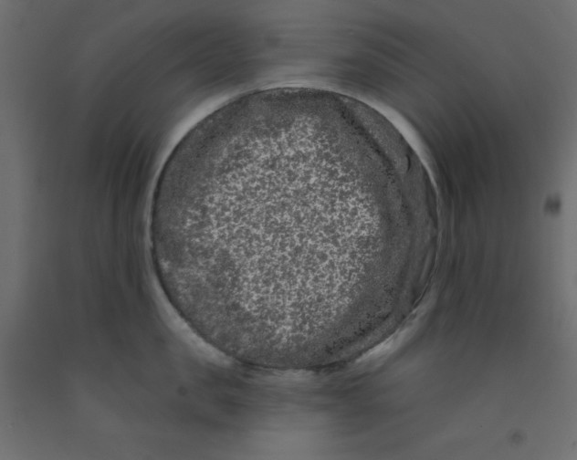 X0000092080957200710101038