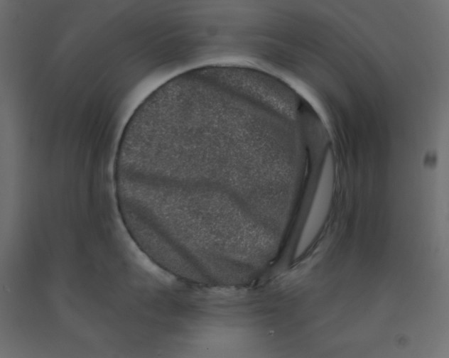 X0000092080959200710101038