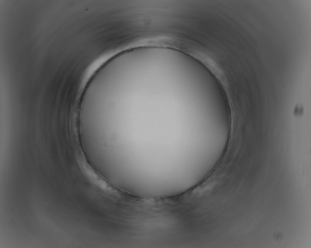 X0000092080960200710101038