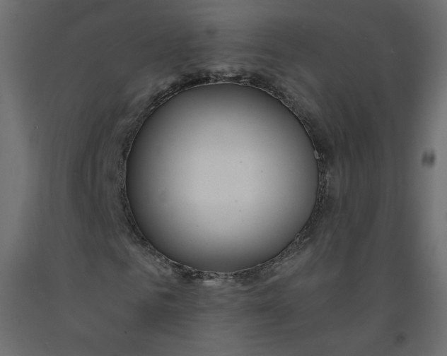 X0000092080961200710101037