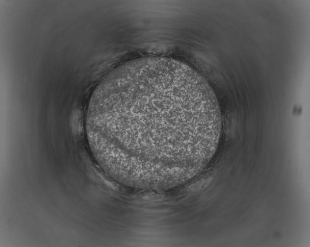 X0000092080962200710101037