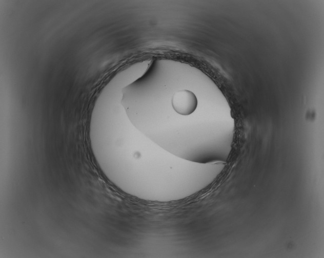 X0000092080965200710101037