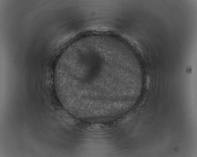 X0000092080966200710101037