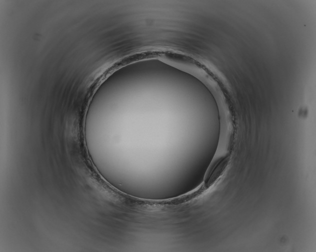 X0000092080969200710101037