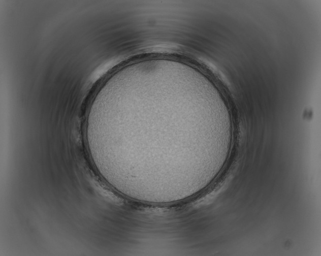 X0000092080970200710101037