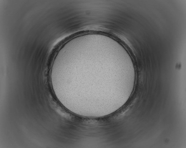 X0000092080971200710101037