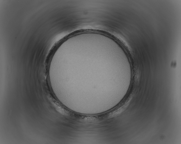 X0000092080974200710101037