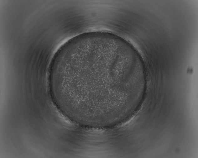 X0000092080975200710101037