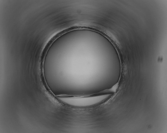 X0000092080976200710101037