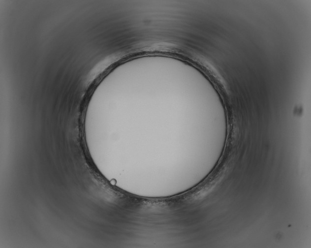 X0000092080978200710101037