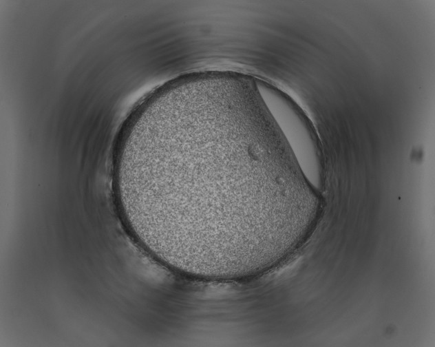 X0000092080979200710101037