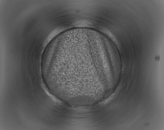 X0000092080986200710101037