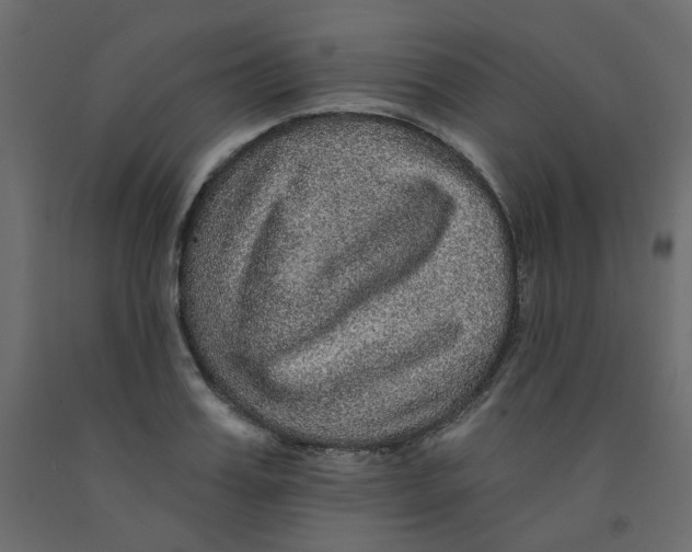 X0000092080987200710101037