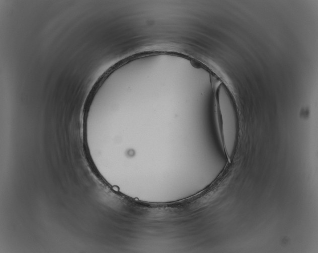 X0000092080988200710101037