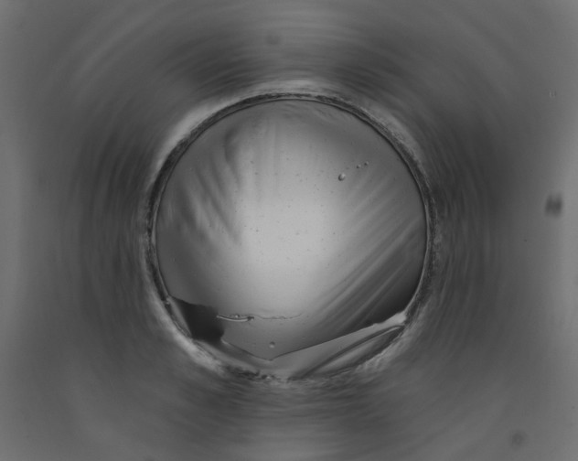 X0000092080989200710101037