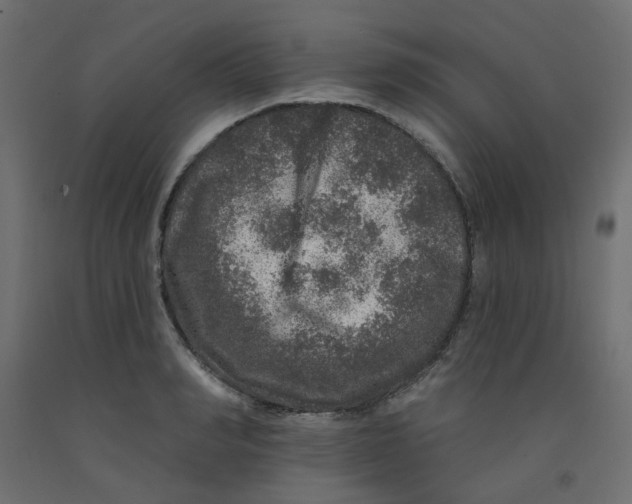 X0000092080990200710101037