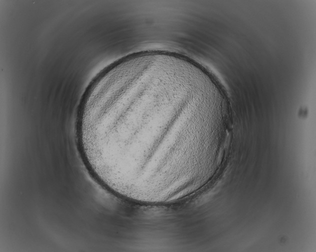 X0000092080991200710101037