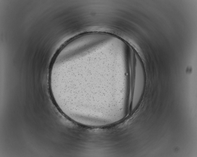 X0000092080992200710101036