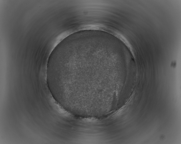 X0000092080994200710101036