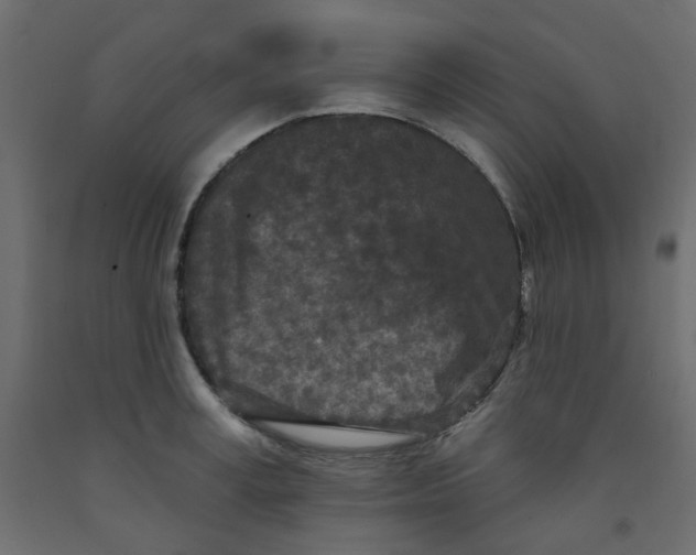 X0000092080995200710101036