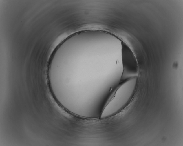 X0000092080997200710101036