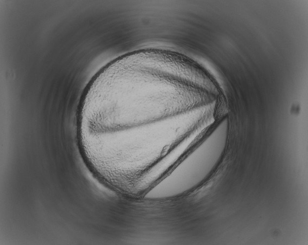 X0000092080999200710101036