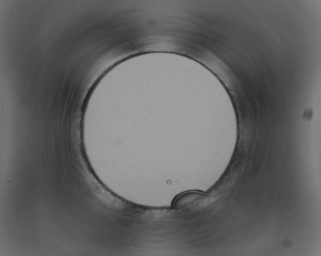 X0000092081000200710101036