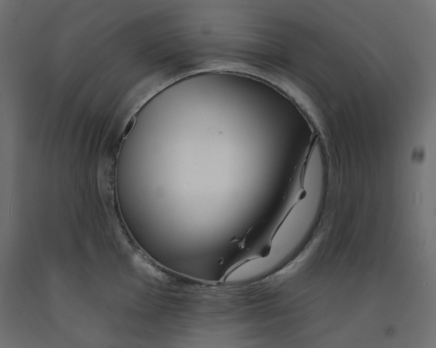 X0000092081001200710101036