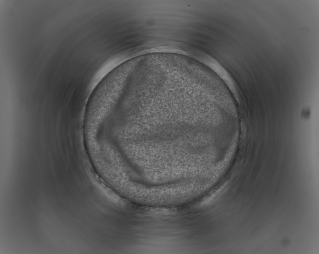 X0000092081002200710101036