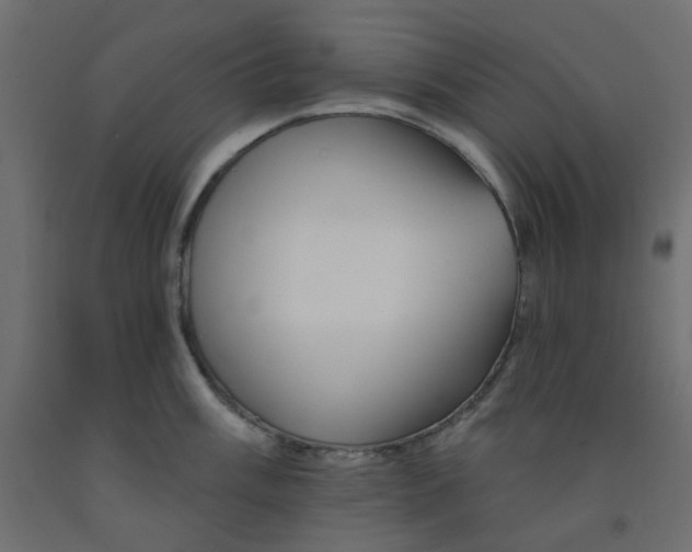 X0000092081003200710101036