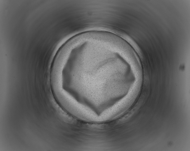 X0000092081004200710101036