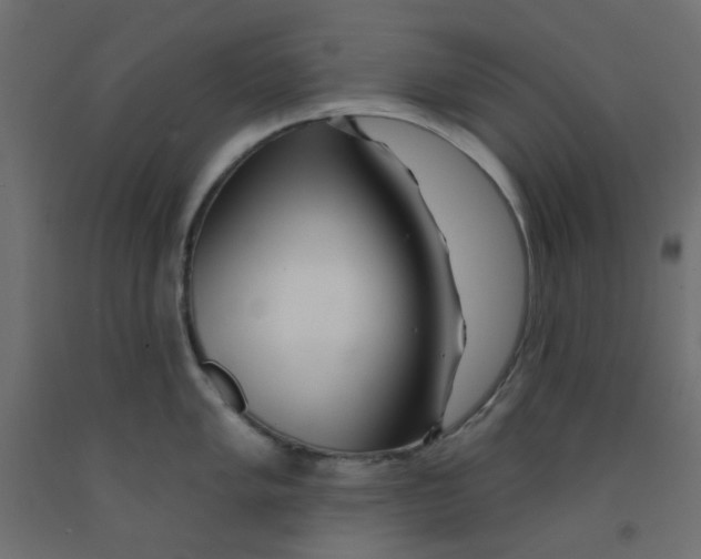 X0000092081005200710101036