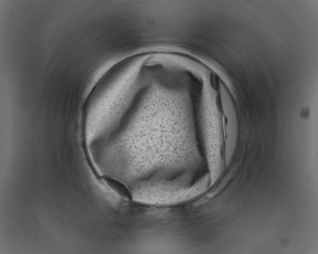 X0000092081006200710101036