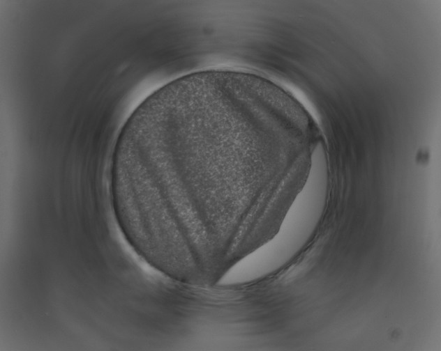 X0000092081007200710101036