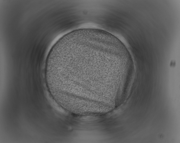 X0000092081008200710101036