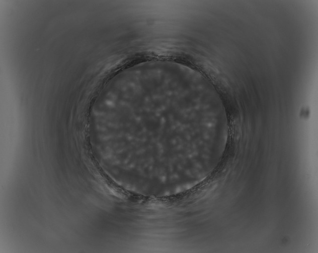 X0000092081009200710101036