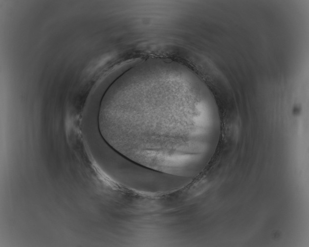 X0000092081010200710101036