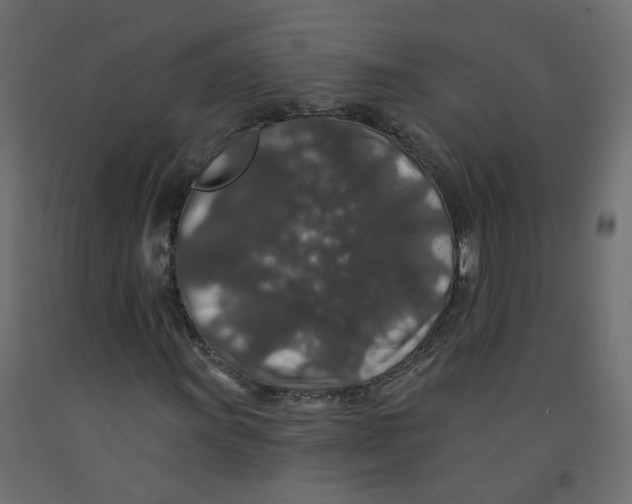 X0000092081011200710101036