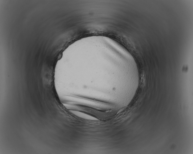 X0000092081012200710101036