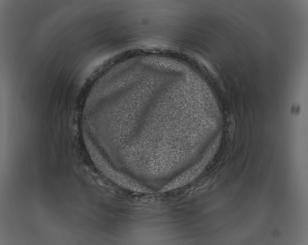 X0000092081016200710101036